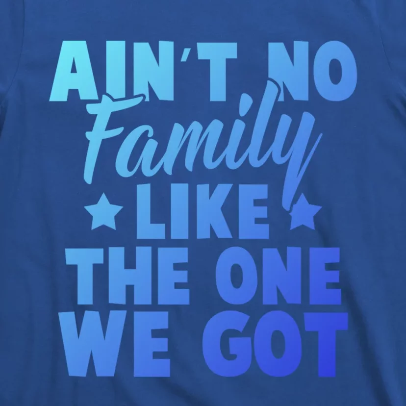 Family Reunion Family Connection No Family Like One We Got Funny Gift T-Shirt