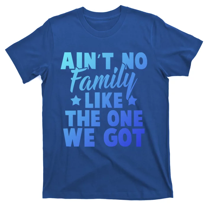 Family Reunion Family Connection No Family Like One We Got Funny Gift T-Shirt