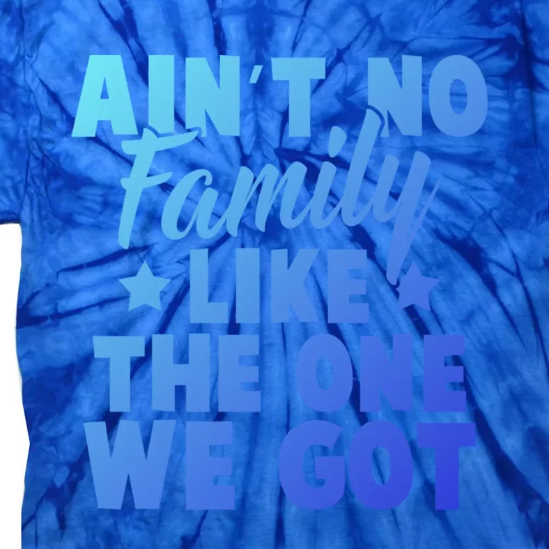 Family Reunion Family Connection No Family Like One We Got Funny Gift Tie-Dye T-Shirt