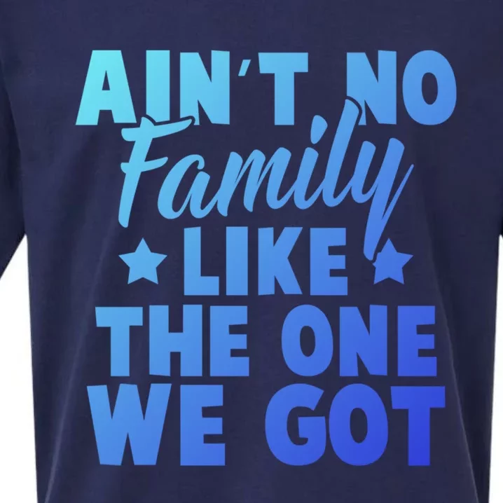 Family Reunion Family Connection No Family Like One We Got Funny Gift Sueded Cloud Jersey T-Shirt