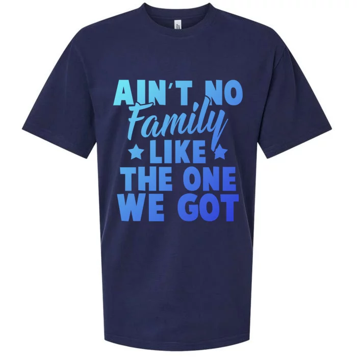 Family Reunion Family Connection No Family Like One We Got Funny Gift Sueded Cloud Jersey T-Shirt