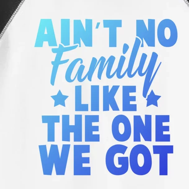 Family Reunion Family Connection No Family Like One We Got Funny Gift Toddler Fine Jersey T-Shirt