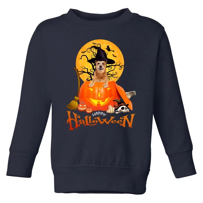 Funny Red Heeler Spooky Halloween Toddler Sweatshirt