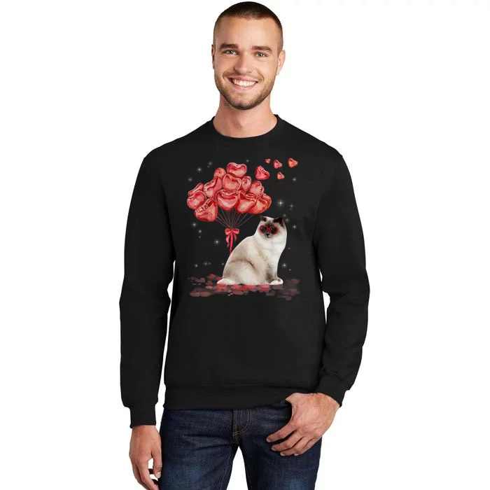 Funny Ragdoll Heart Valentines Day Cat Dad Mom Gift Tall Sweatshirt