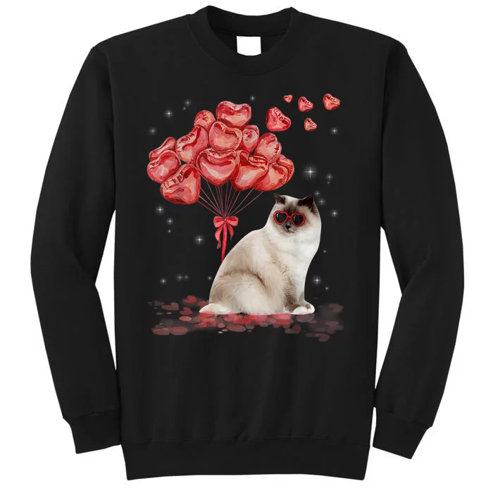 Funny Ragdoll Heart Valentines Day Cat Dad Mom Gift Tall Sweatshirt