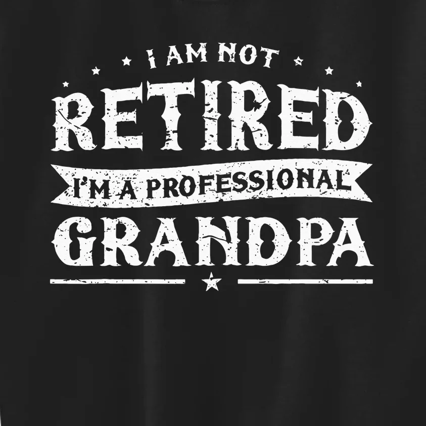 Funny Retiree Im Not Retired Im A Professional Grandpa Kids Sweatshirt