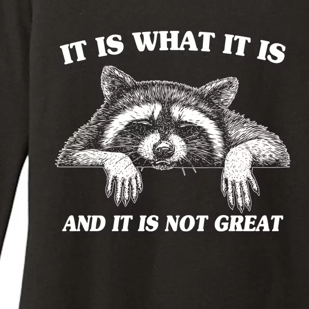 Funny Raccoon It Is What It Is And It Is Not Great Womens CVC Long Sleeve Shirt