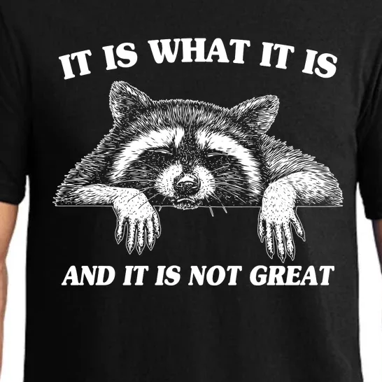 Funny Raccoon It Is What It Is And It Is Not Great Pajama Set