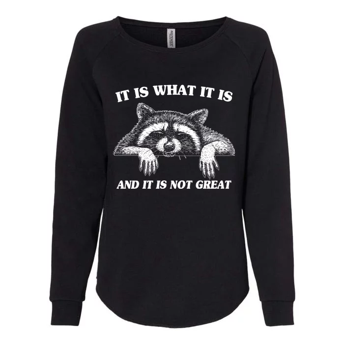 Funny Raccoon It Is What It Is And It Is Not Great Womens California Wash Sweatshirt