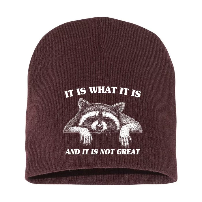 Funny Raccoon It Is What It Is And It Is Not Great Short Acrylic Beanie