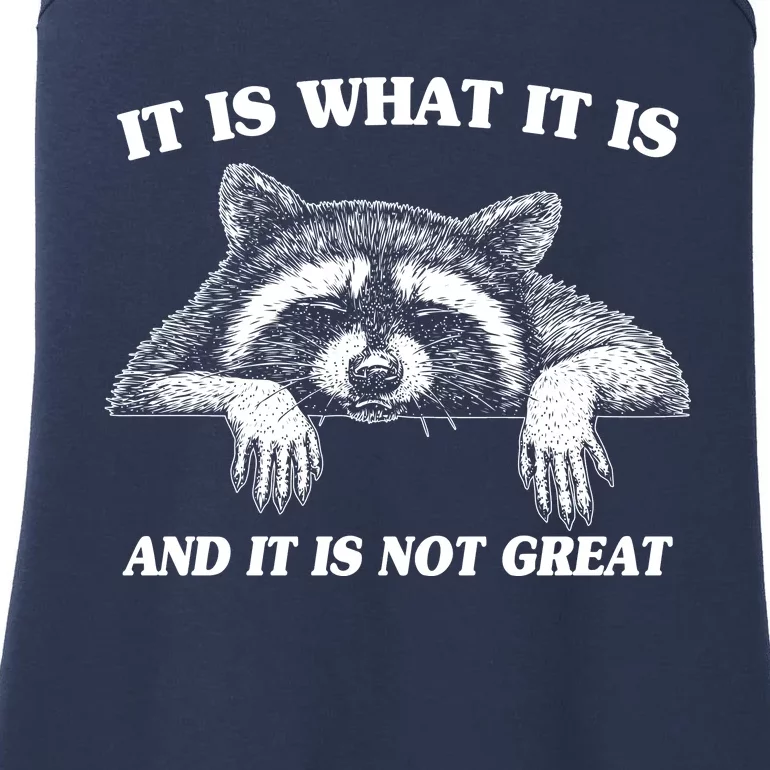 Funny Raccoon It Is What It Is And It Is Not Great Ladies Essential Tank