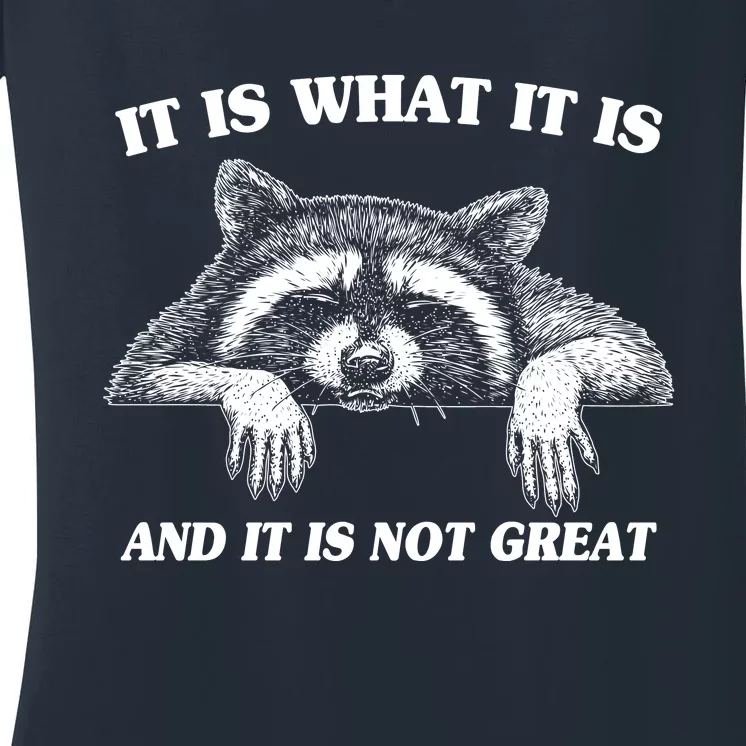 Funny Raccoon It Is What It Is And It Is Not Great Women's V-Neck T-Shirt