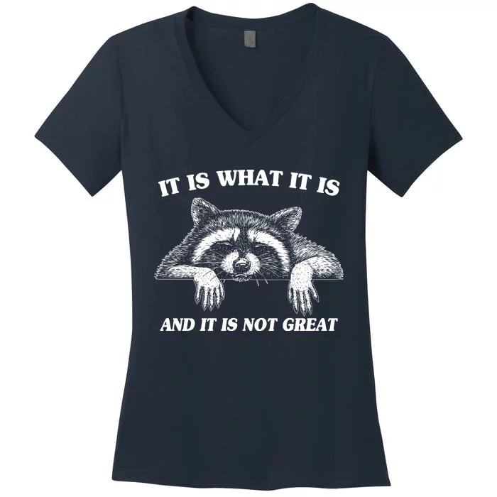 Funny Raccoon It Is What It Is And It Is Not Great Women's V-Neck T-Shirt