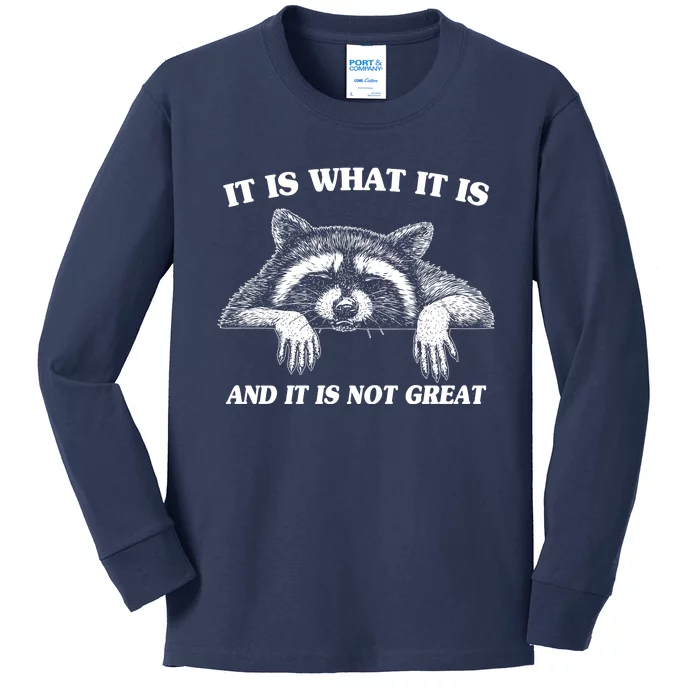 Funny Raccoon It Is What It Is And It Is Not Great Kids Long Sleeve Shirt