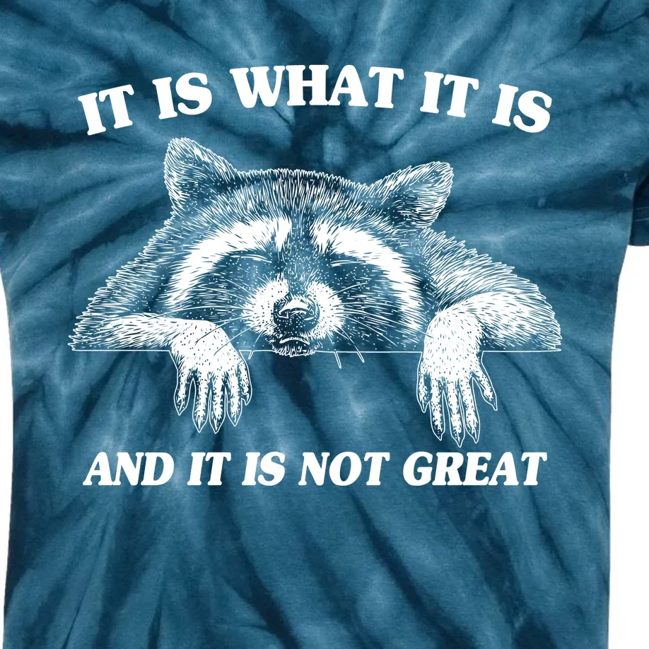 Funny Raccoon It Is What It Is And It Is Not Great Kids Tie-Dye T-Shirt