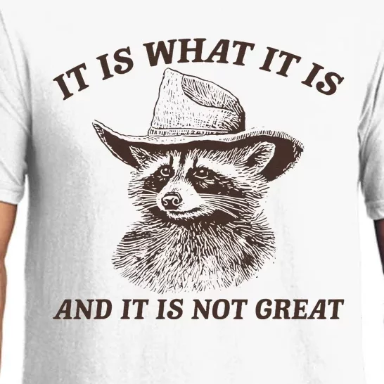 Funny Raccoon It Is What It Is And It Is Not Great Pajama Set