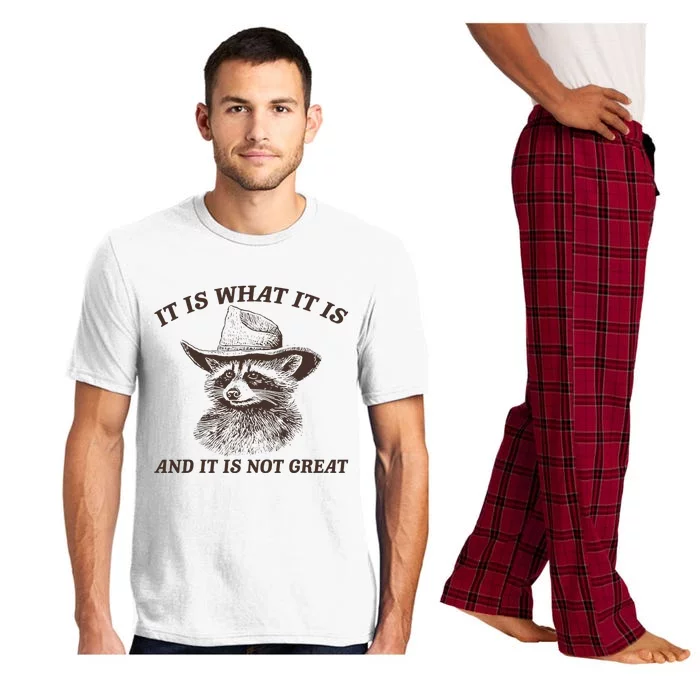 Funny Raccoon It Is What It Is And It Is Not Great Pajama Set