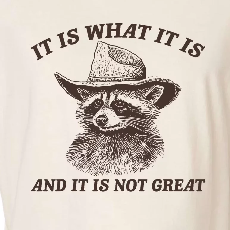 Funny Raccoon It Is What It Is And It Is Not Great Garment-Dyed Women's Muscle Tee