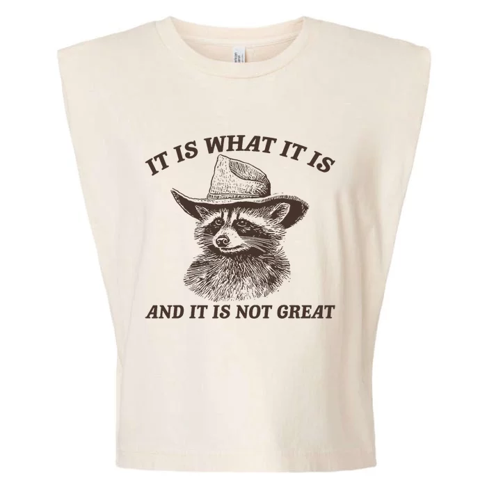 Funny Raccoon It Is What It Is And It Is Not Great Garment-Dyed Women's Muscle Tee