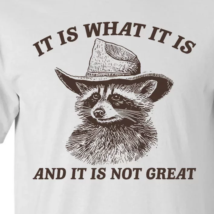 Funny Raccoon It Is What It Is And It Is Not Great Tall T-Shirt