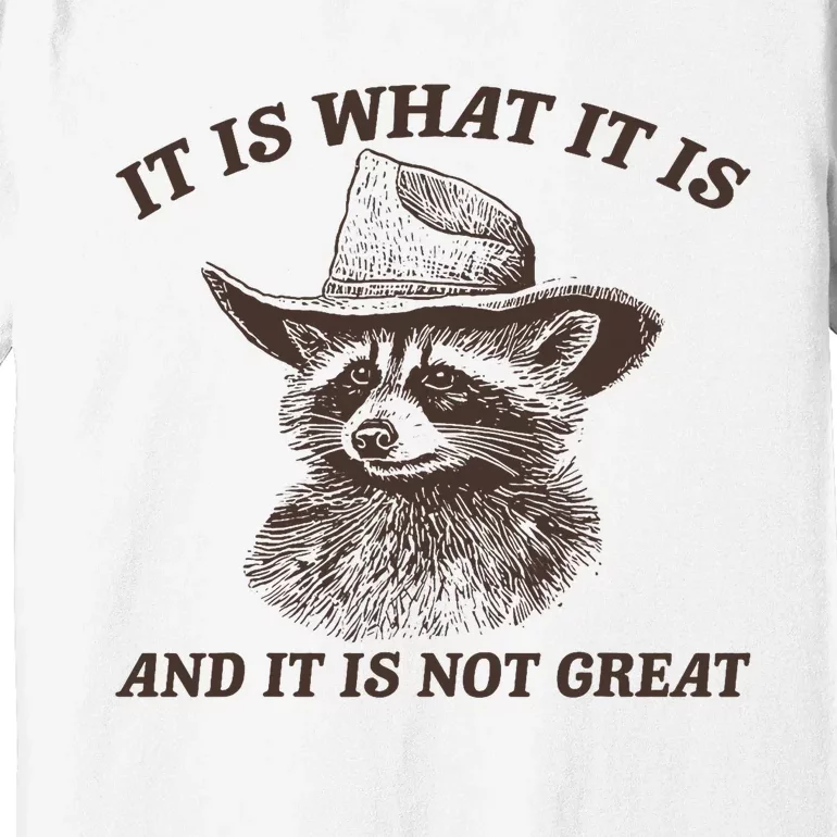 Funny Raccoon It Is What It Is And It Is Not Great Premium T-Shirt