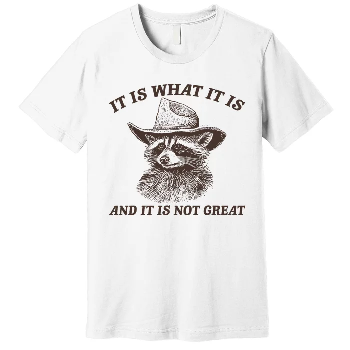 Funny Raccoon It Is What It Is And It Is Not Great Premium T-Shirt