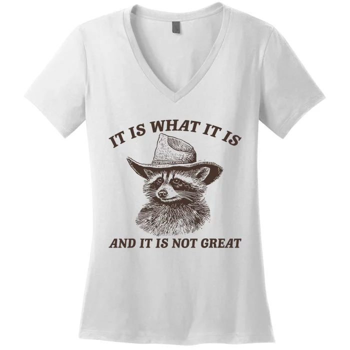 Funny Raccoon It Is What It Is And It Is Not Great Women's V-Neck T-Shirt