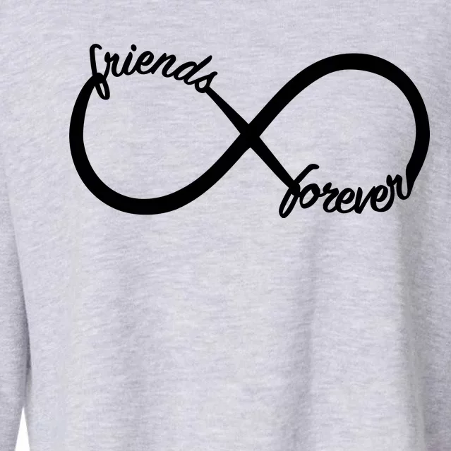 Friends Forever Infinity Symbol Cropped Pullover Crew