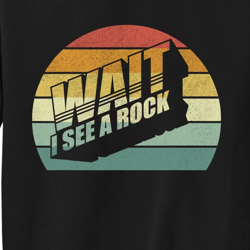 Funny Rock Mineral Collector Humor Geology Wait I See A Rock Sweatshirt