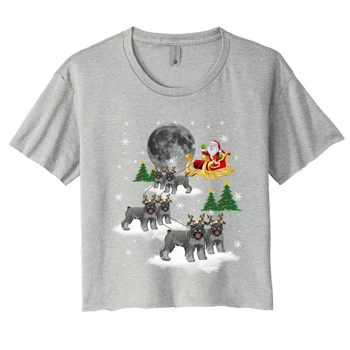 Funny Reindeer Shih Tzu Xmas Santa Christmas Dog Lover Funny Gift Women's Crop Top Tee