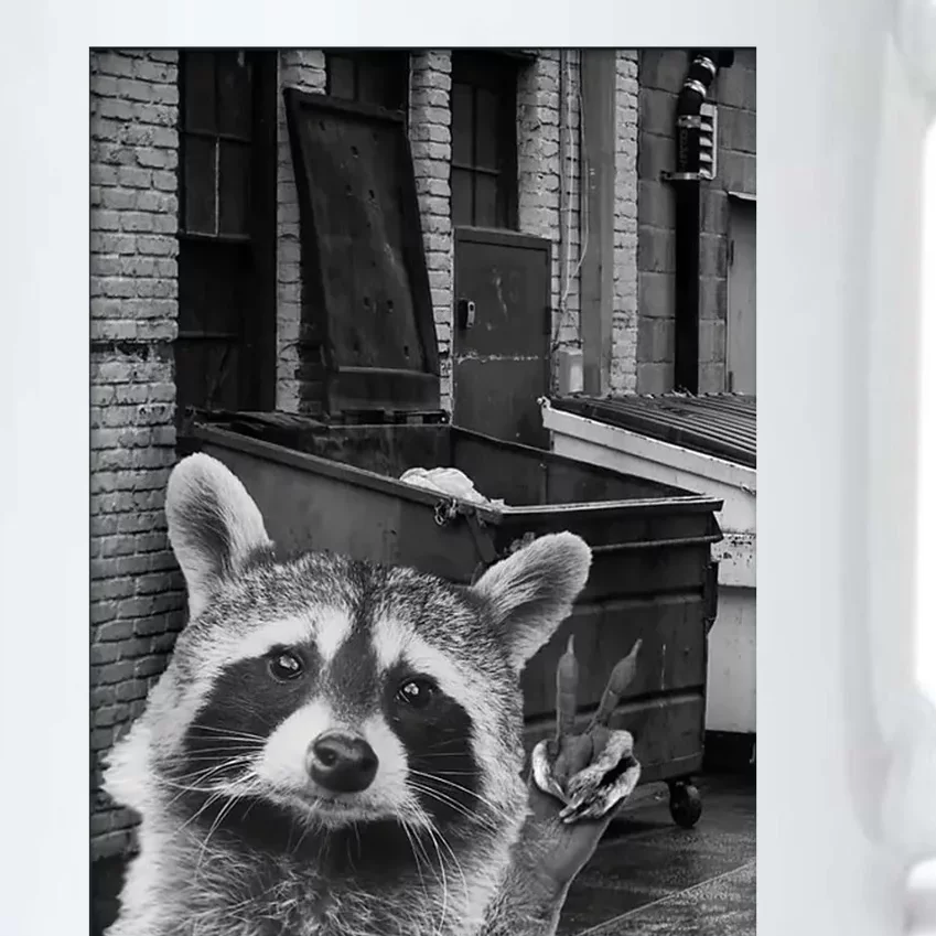 Funny Raccoon Selfie Black Color Changing Mug