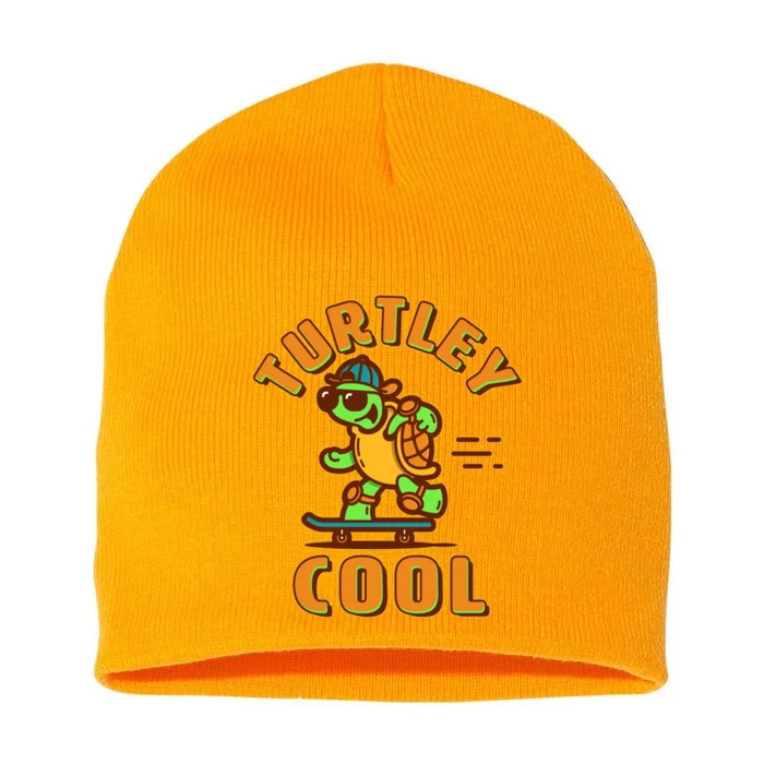 Funny Retro Turtley Cool Skateboarding Turtle Short Acrylic Beanie