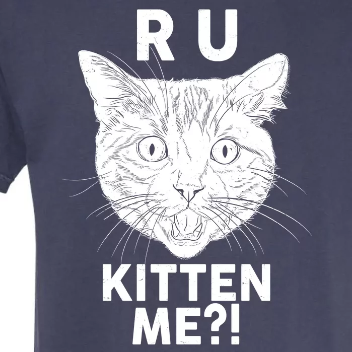 Funny R U Kitten Me Are You Kidding Me Cat Garment-Dyed Heavyweight T-Shirt