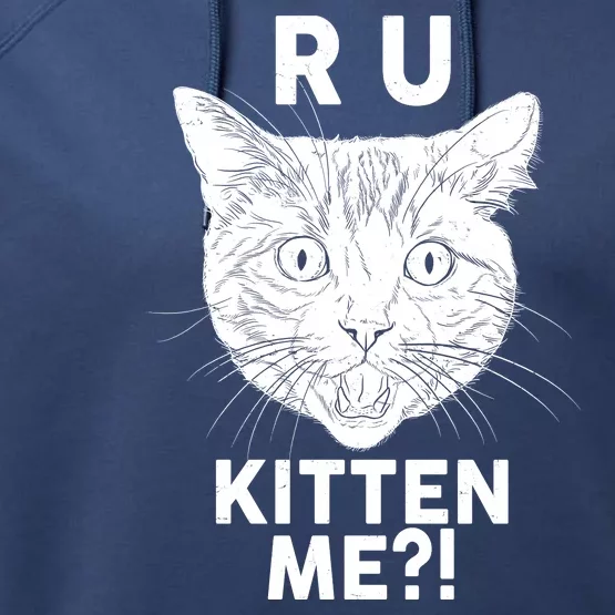 Funny R U Kitten Me Are You Kidding Me Cat Performance Fleece Hoodie