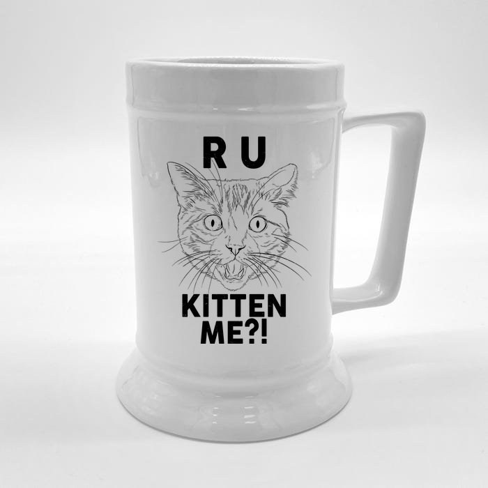 Funny R U Kitten Me Are You Kidding Me Cat Front & Back Beer Stein