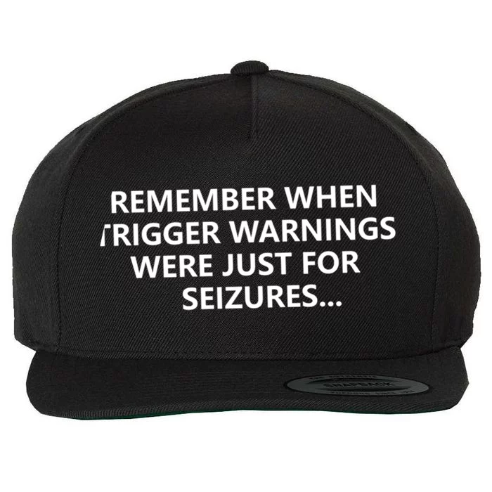 Funny Remember When Trigger Warnings Politics Funny Gift Wool Snapback Cap