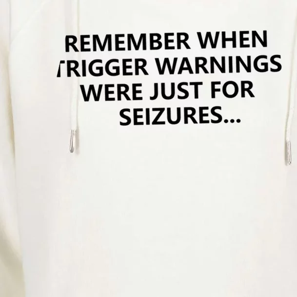 Funny Remember When Trigger Warnings Politics Funny Gift Womens Funnel Neck Pullover Hood