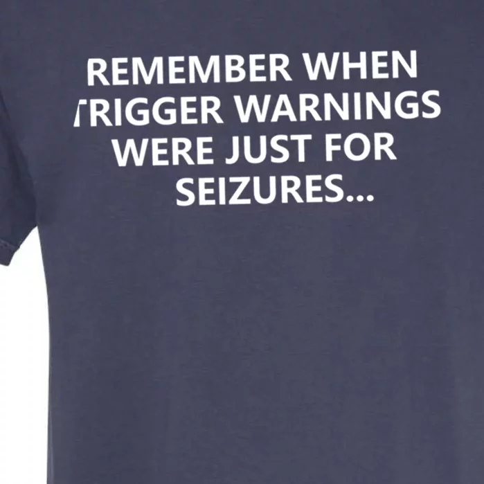 Funny Remember When Trigger Warnings Politics Funny Gift Garment-Dyed Heavyweight T-Shirt