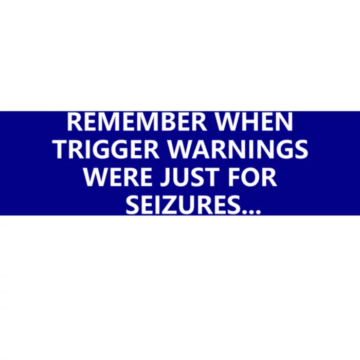 Funny Remember When Trigger Warnings Politics Funny Gift Bumper Sticker