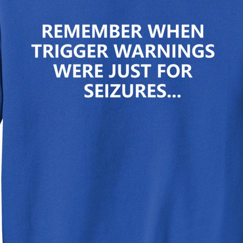 Funny Remember When Trigger Warnings Politics Funny Gift Tall Sweatshirt