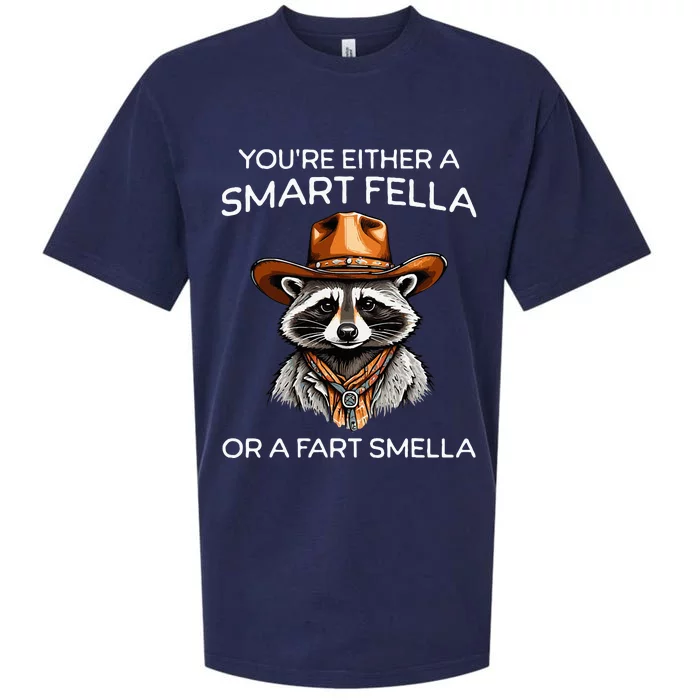 Funny Raccoon YouRe Either A Smart Fella Or A Fart Smella Sueded Cloud Jersey T-Shirt