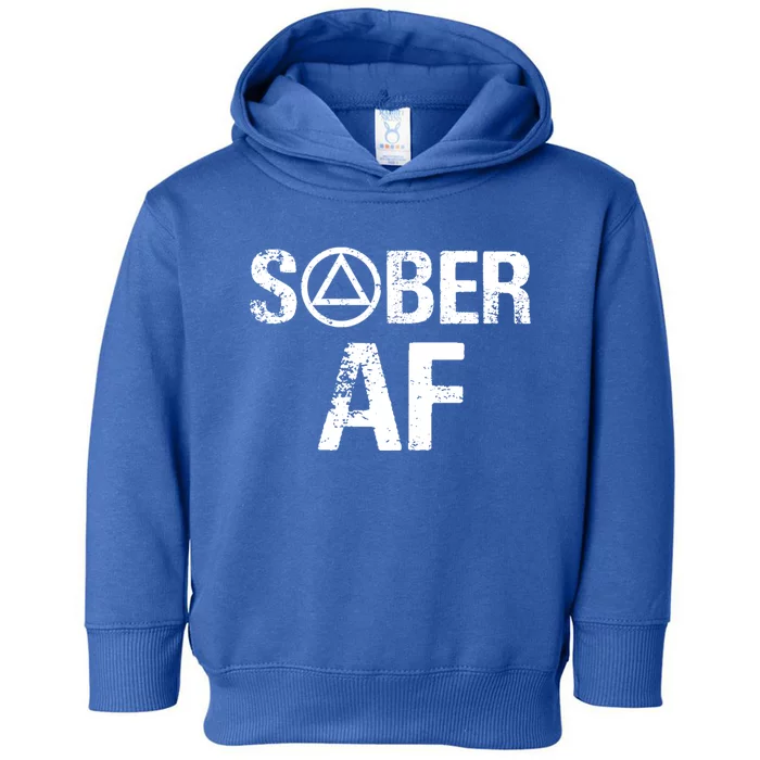 Funny Sober Af Sobriety Recovery Aa Alcoholic Support Gift Toddler Hoodie