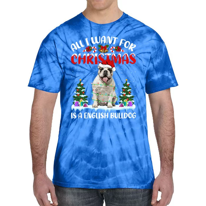 Funny Santa All I Want For Christmas Is A English Bulldog Gift Tie-Dye T-Shirt