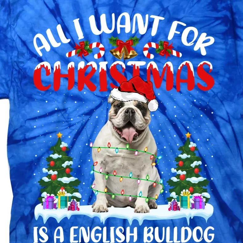 Funny Santa All I Want For Christmas Is A English Bulldog Gift Tie-Dye T-Shirt