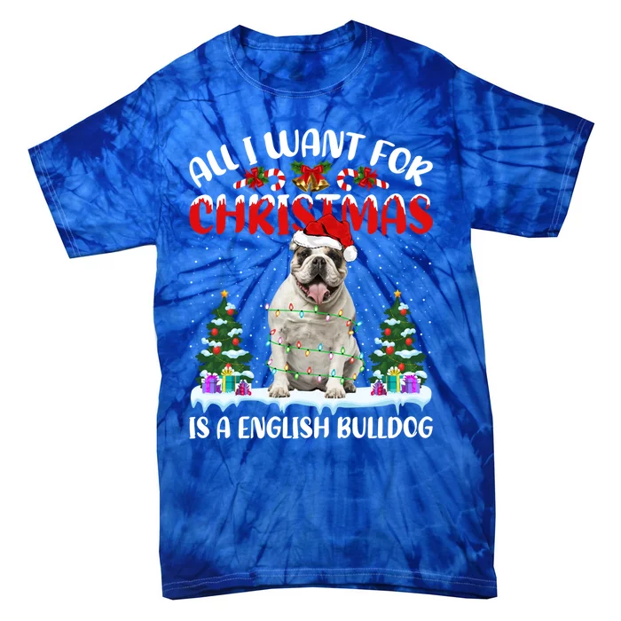 Funny Santa All I Want For Christmas Is A English Bulldog Gift Tie-Dye T-Shirt