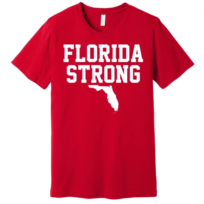 Florida Strong Awareness Hurricane Milton Premium T-Shirt