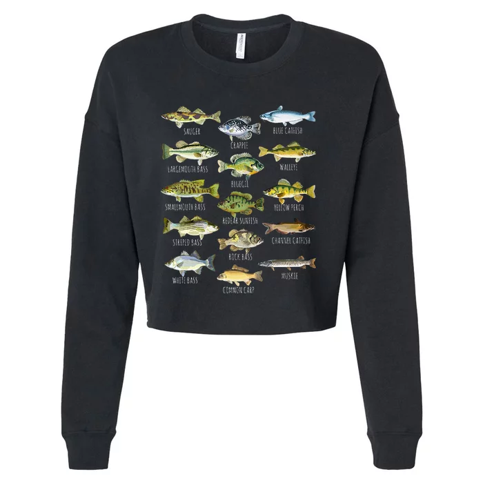 Fish Species Biology Types Of Freshwater Fish Cropped Pullover Crew