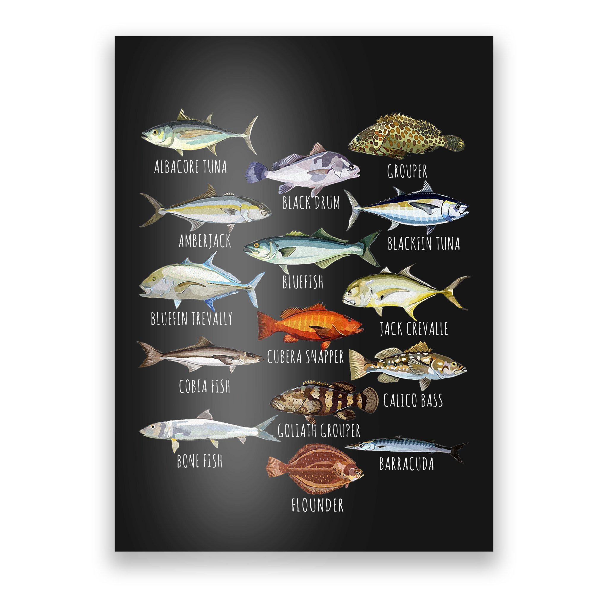 Fish Species Biology Types Of Saltwater Fish Fishing Poster