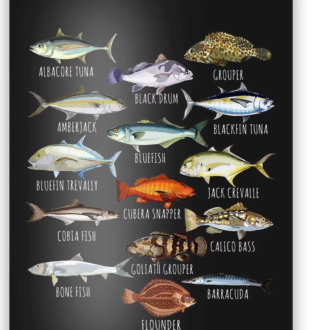 Fish Species Biology Types Of Saltwater Fish Fishing Poster