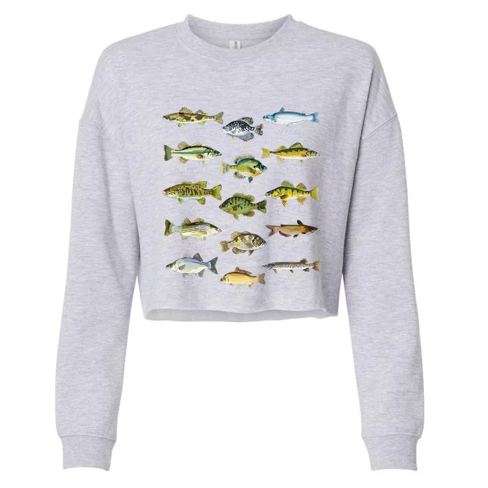 Fish Species Biology Types Of Freshwater Fish Fishing Cropped Pullover Crew